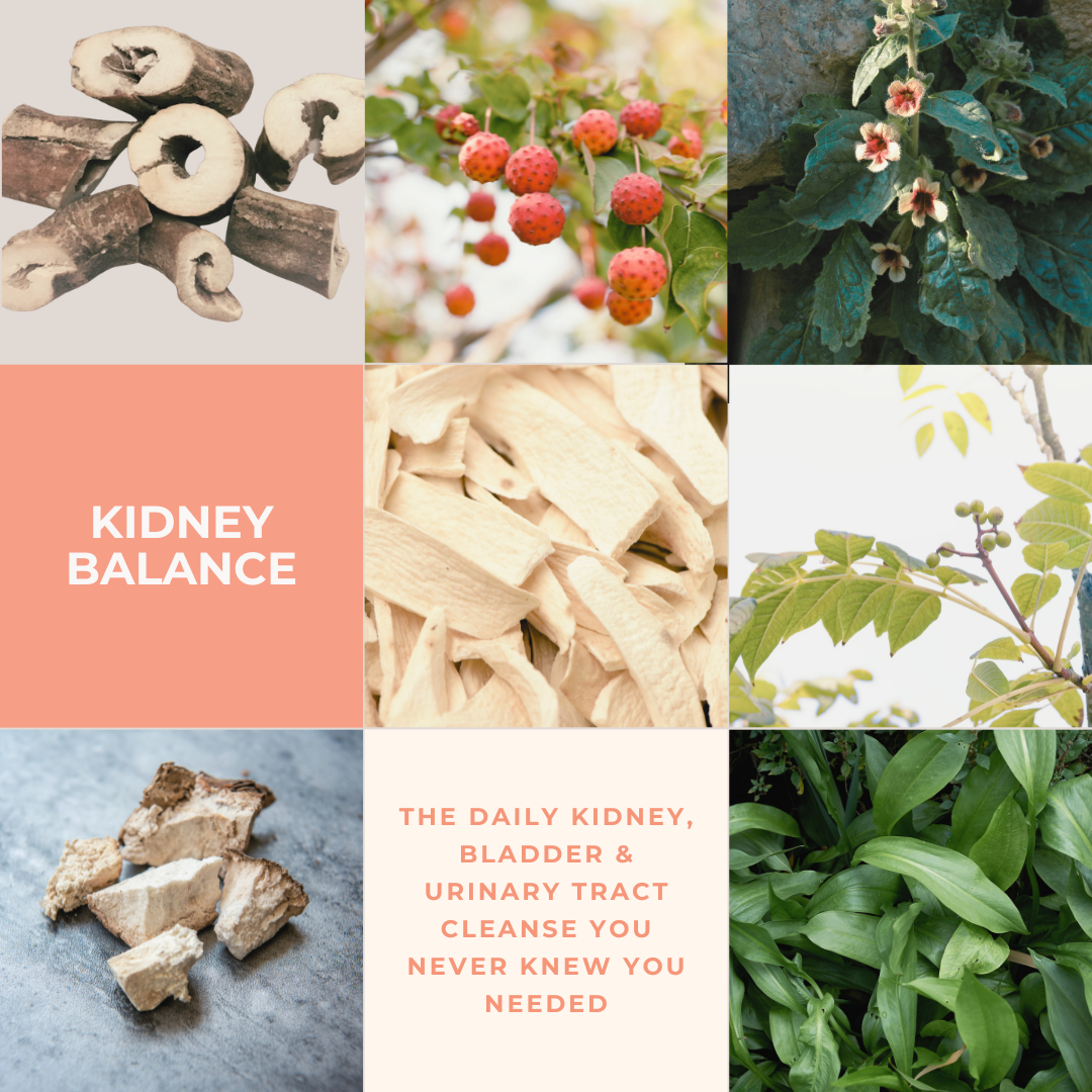 Kidney Balance: take back urinary control