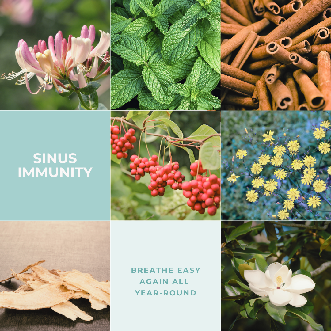 Sinus Immunity: natural sinus relief and immune boost for easier breathing