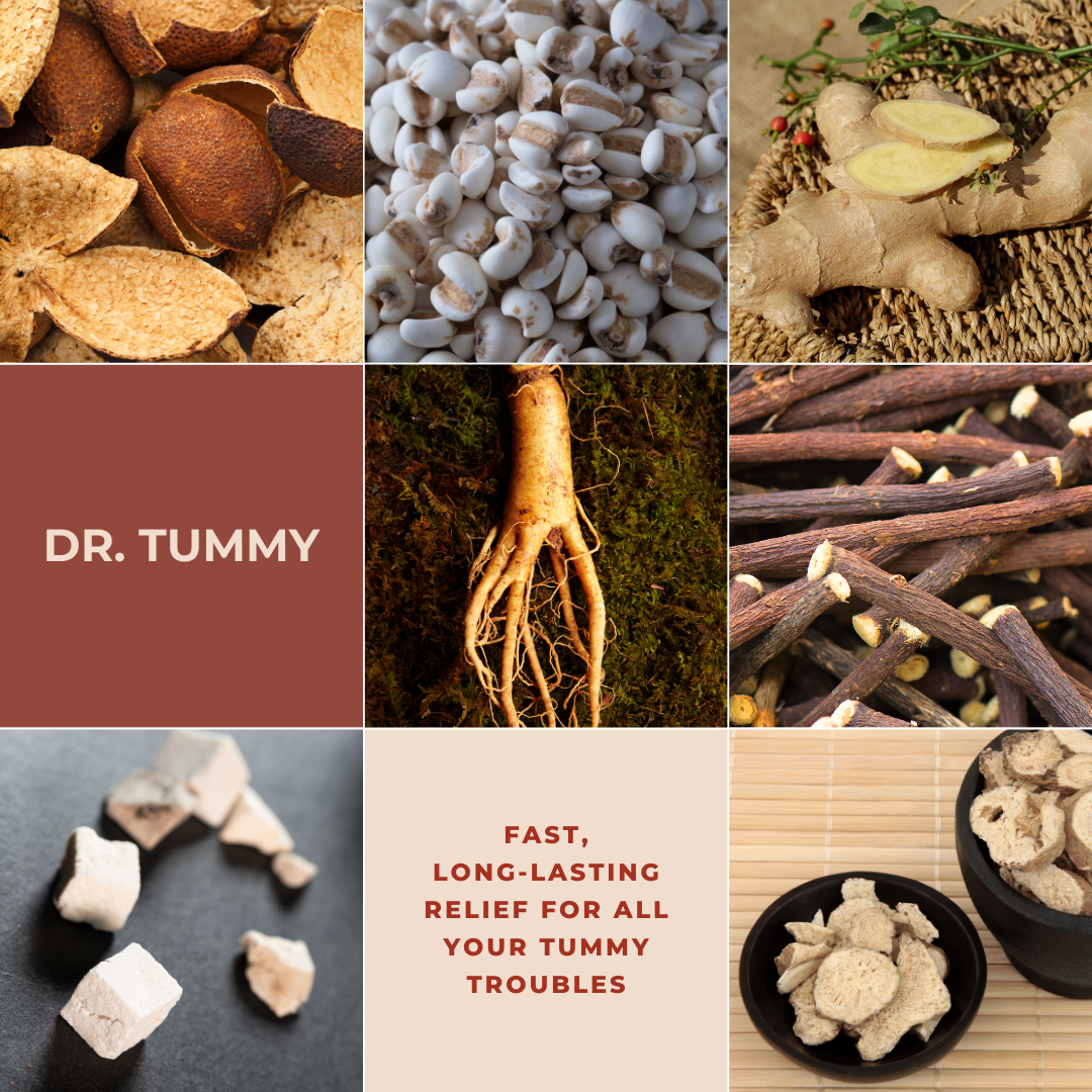 Dr. Tummy: all-in-one gut restoration