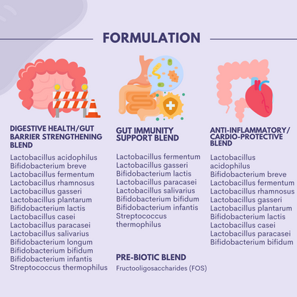 The CoLymph® Daily Synbiotic: 2-in-1 blend & powerful for gut health