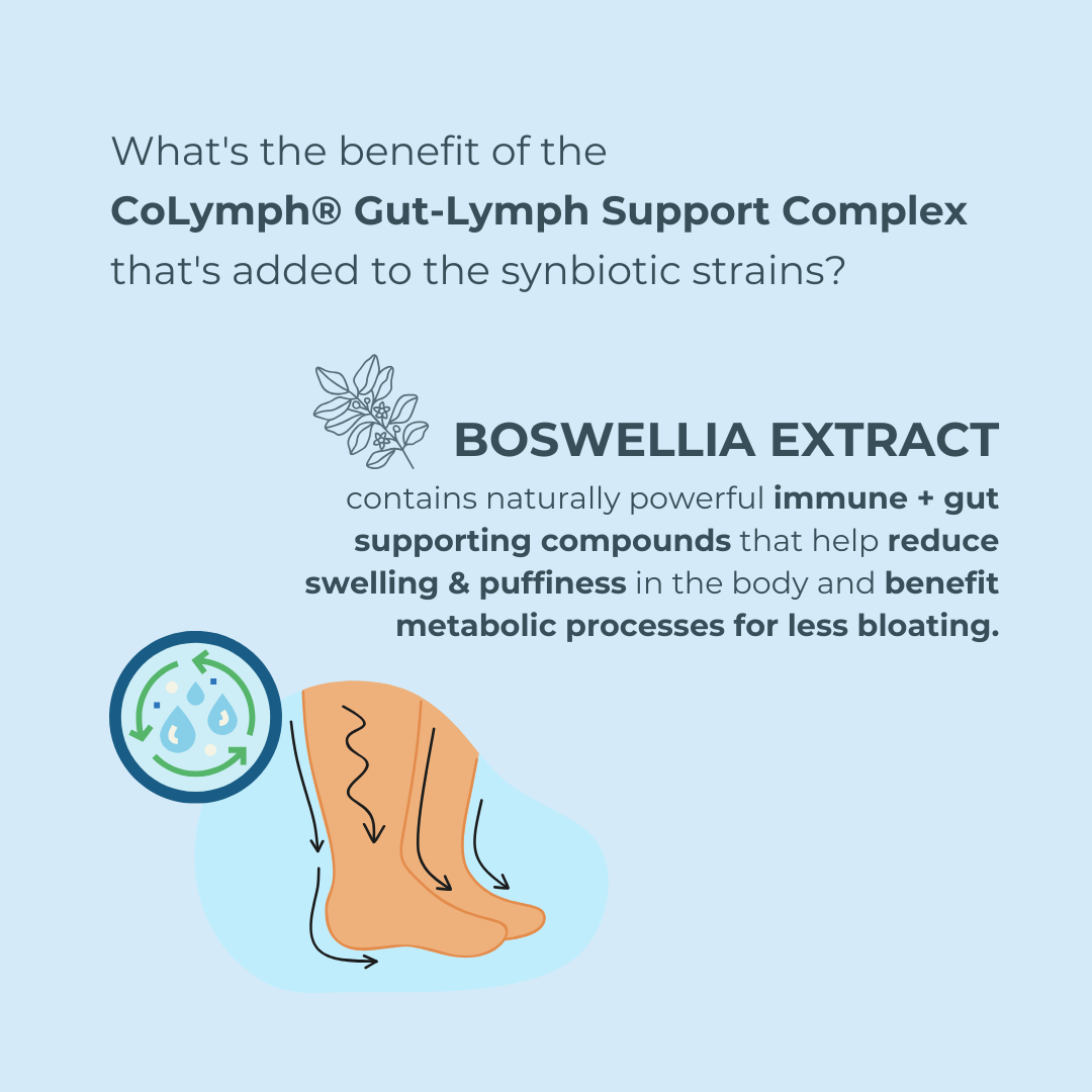 The CoLymph® Lymphbiotic: 3-in-1 synbiotic for gut-lymph support