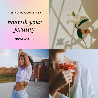 Integrative Fertility: holistic conception support