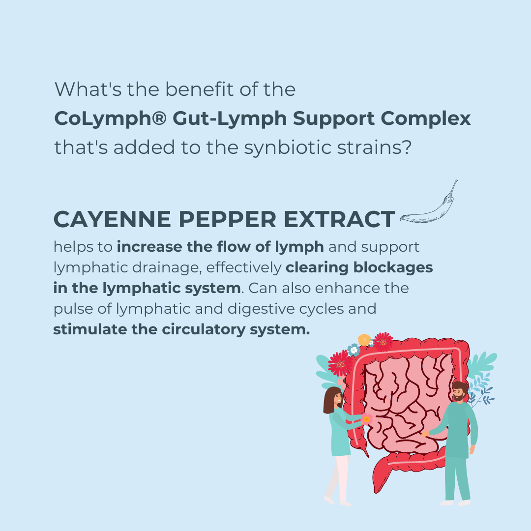 The CoLymph® Lymphbiotic: 3-in-1 synbiotic for gut-lymph support