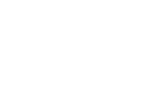 Holistic Viewpoint